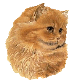 priére du chat
